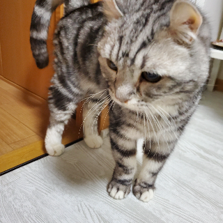 rie0805