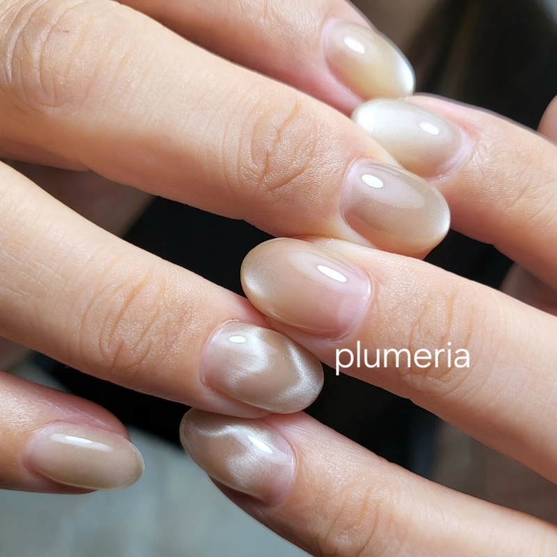 plumeria