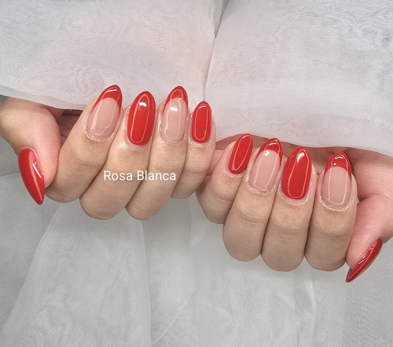 Rosa_Blanca