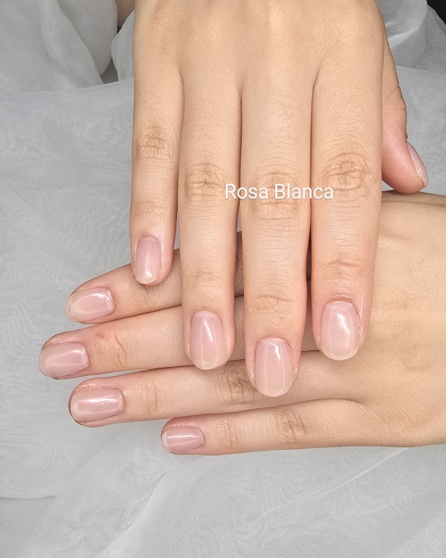 Rosa_Blanca