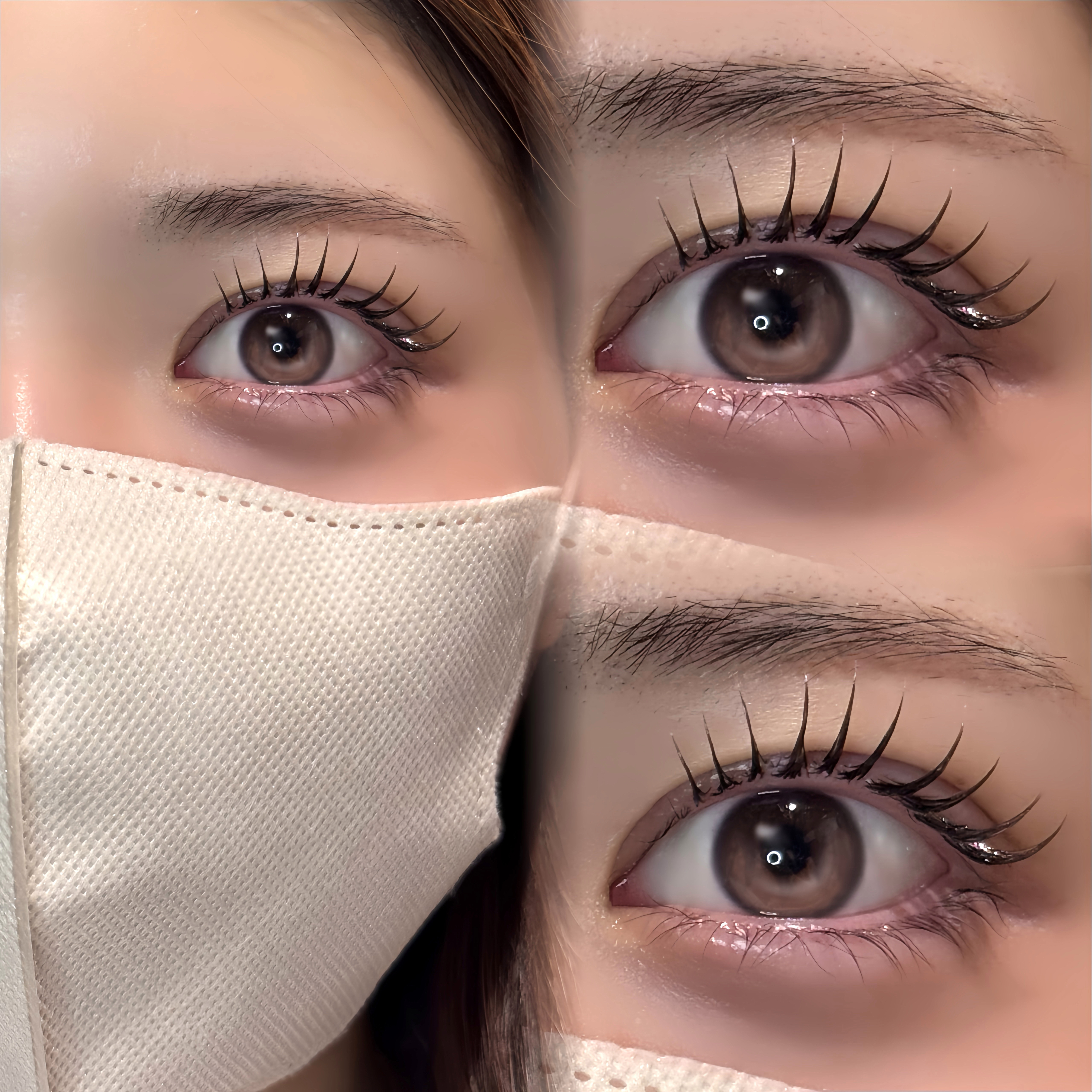 eyelash_mochan