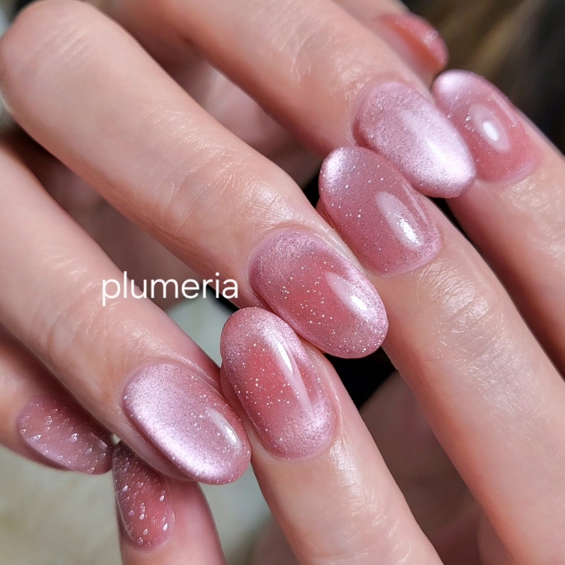 plumeria