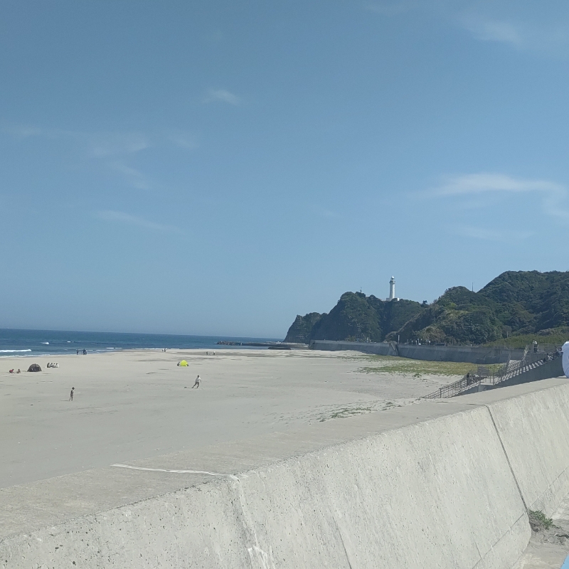 reo.reo.12959