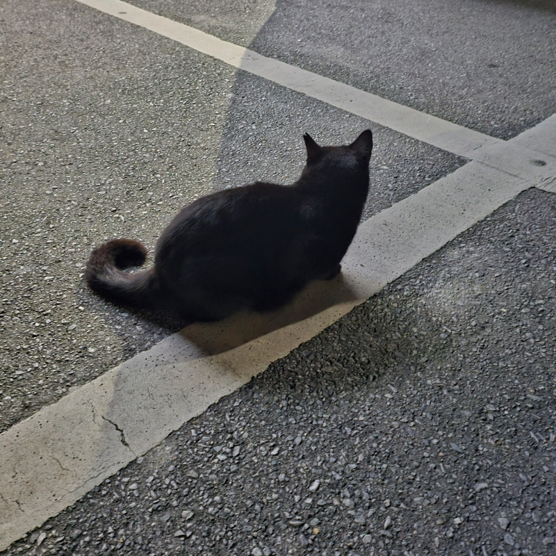 aiuzu