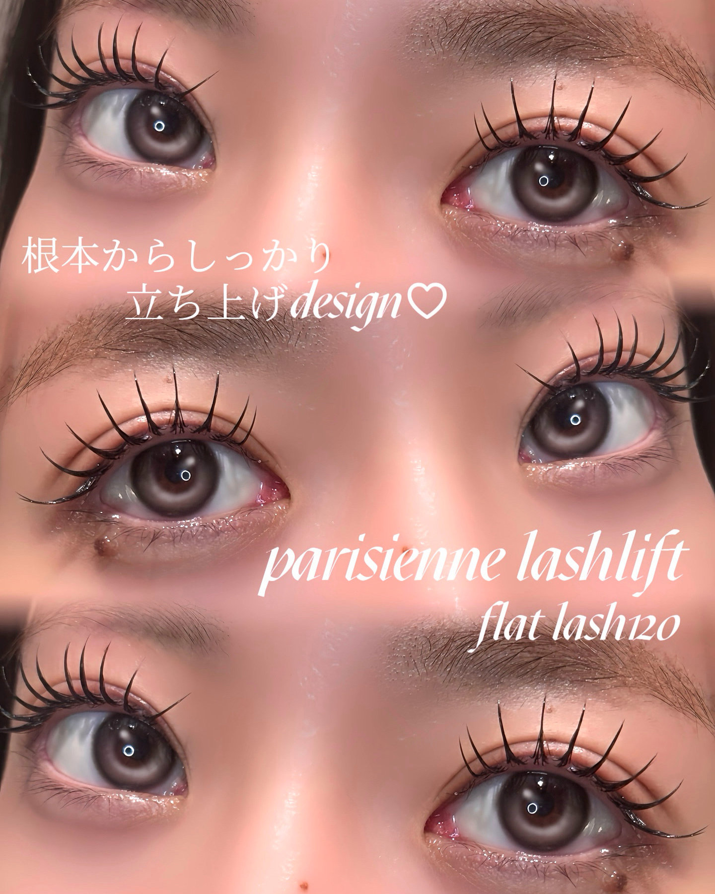 eyelash_mochan
