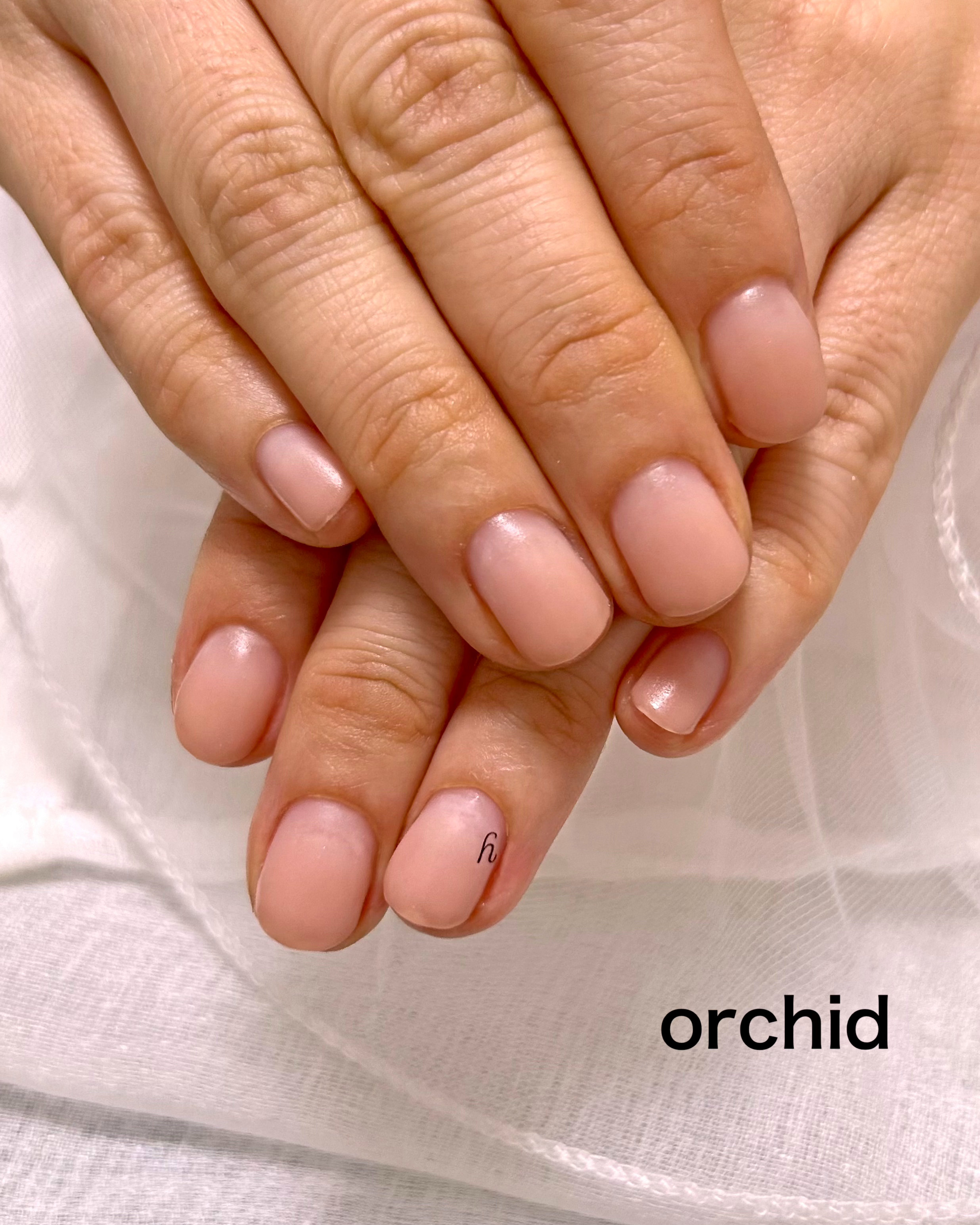 nail_salon_orchid