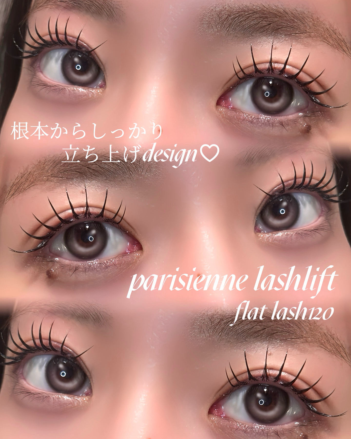 eyelash_mochan