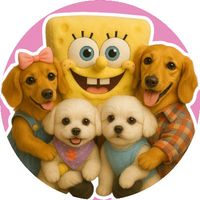 romibabraisorachipie