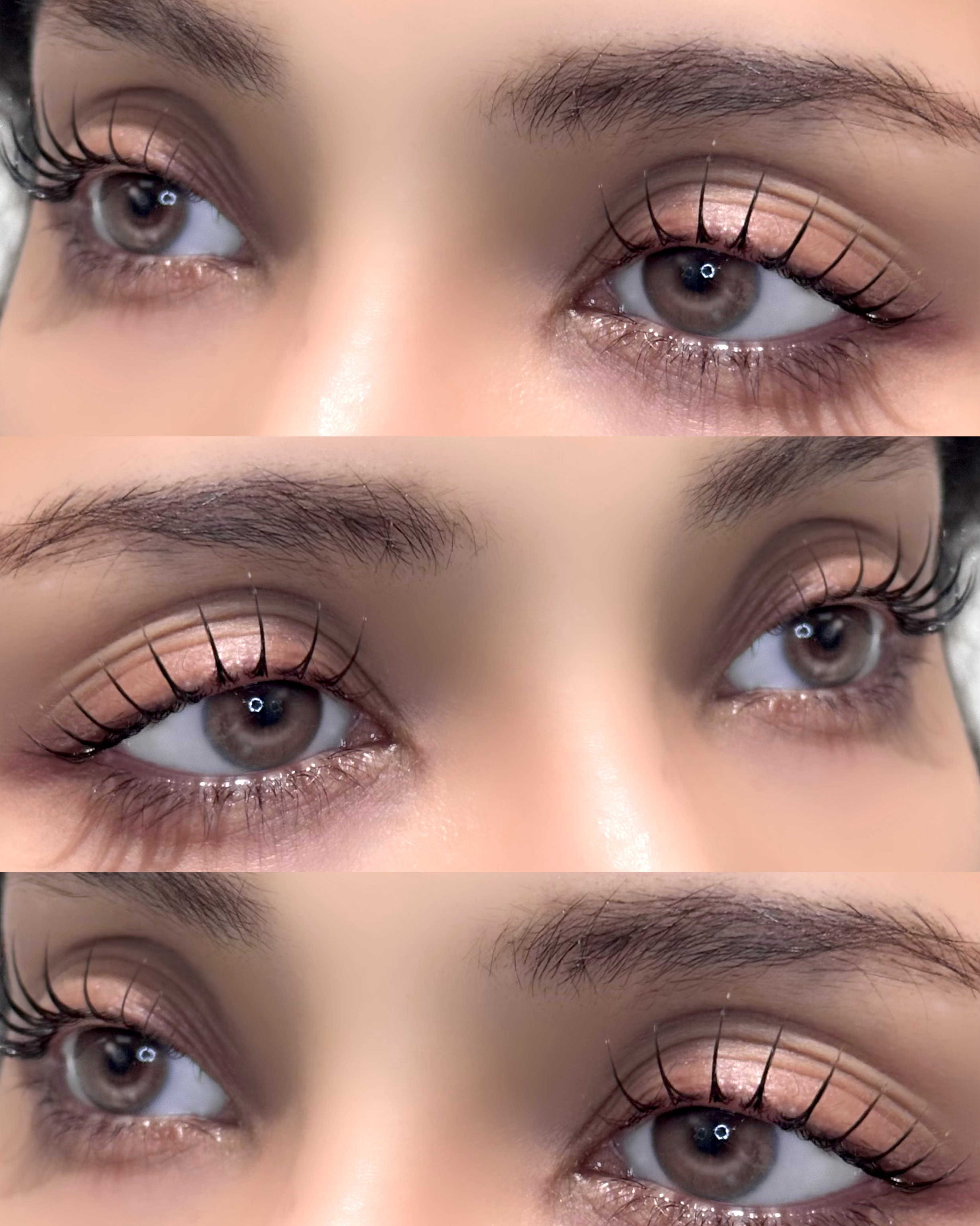 eyelash_mochan