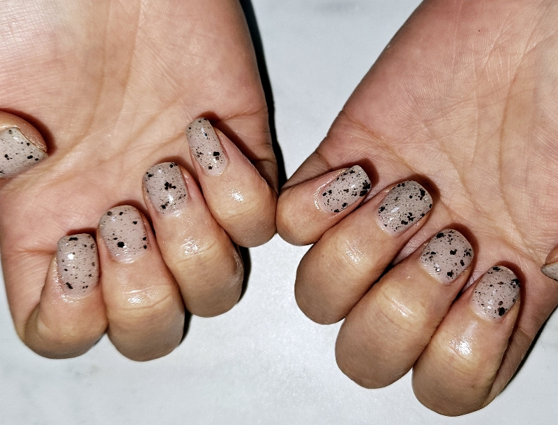 n.shellnail