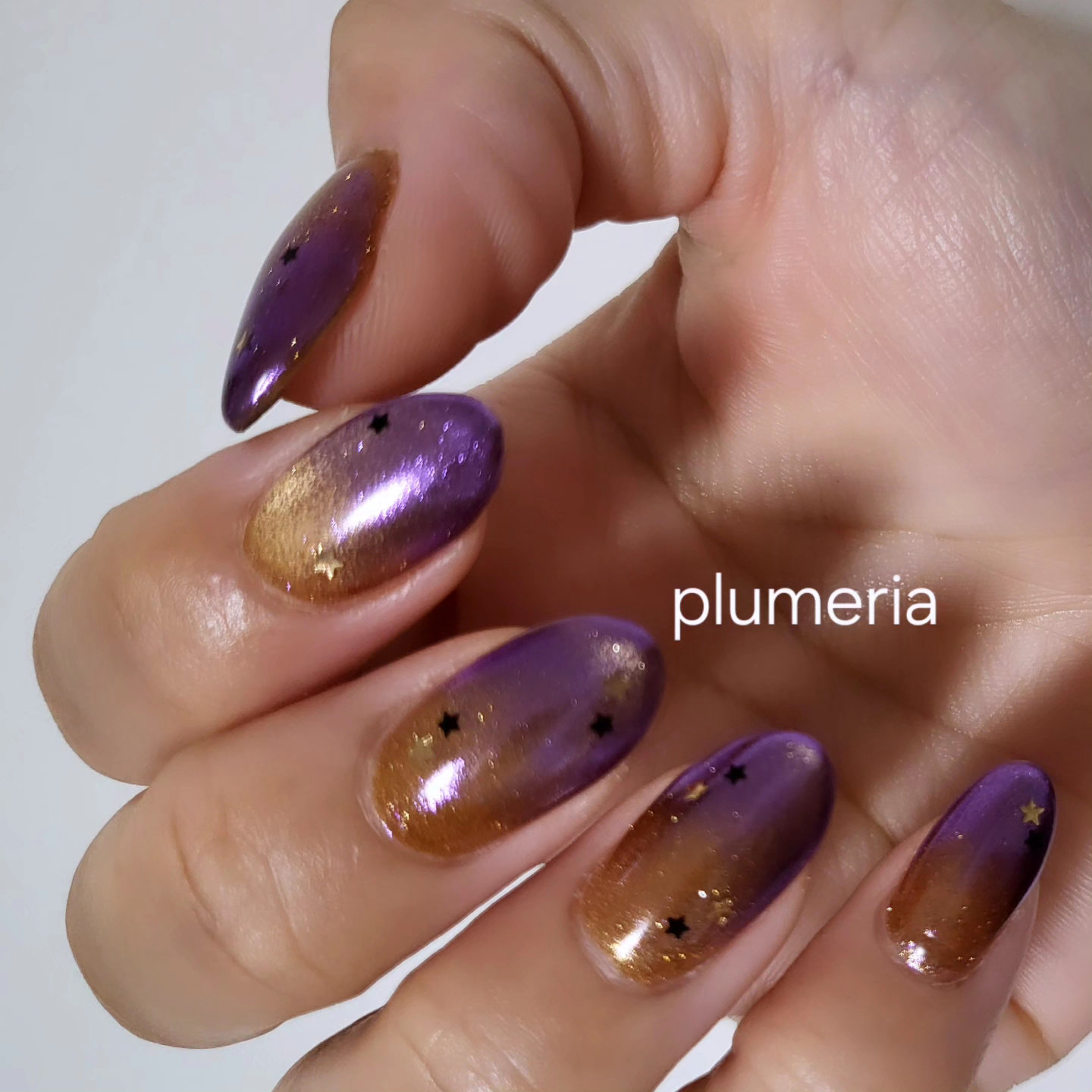 plumeria