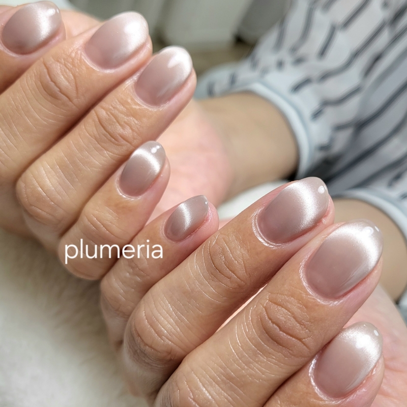 plumeria