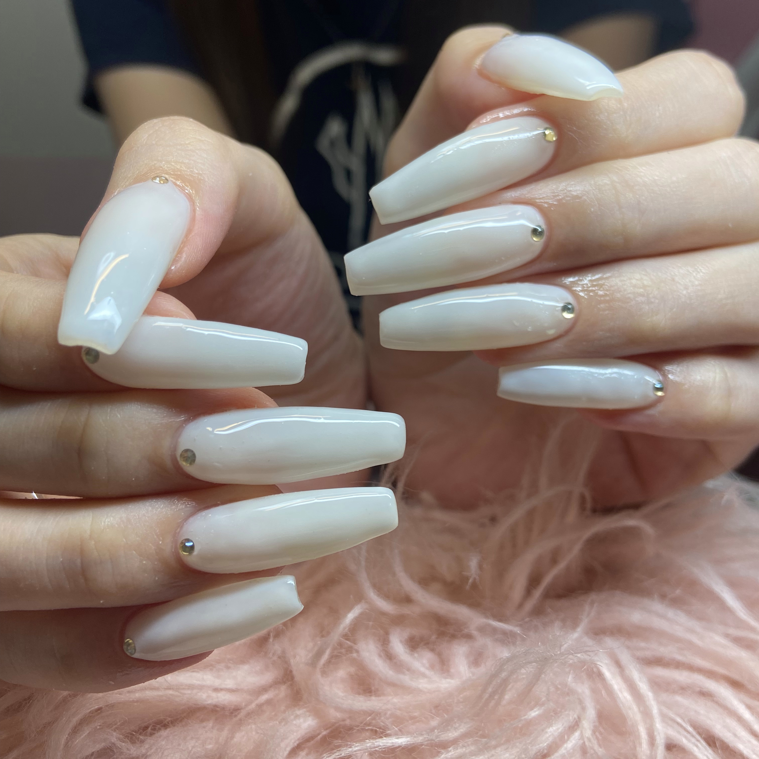 HandSnailZama