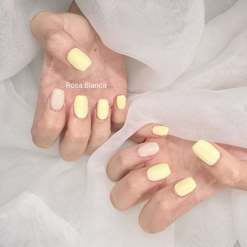Rosa_Blanca