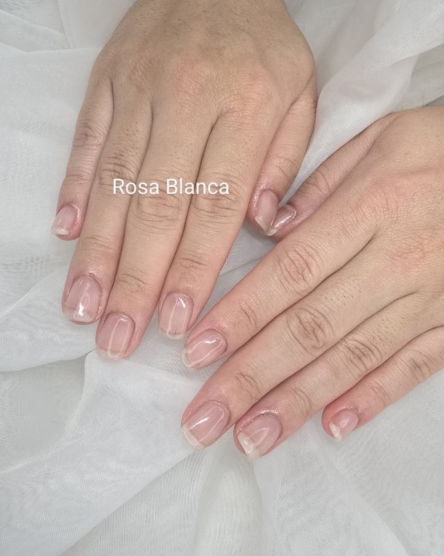 Rosa_Blanca