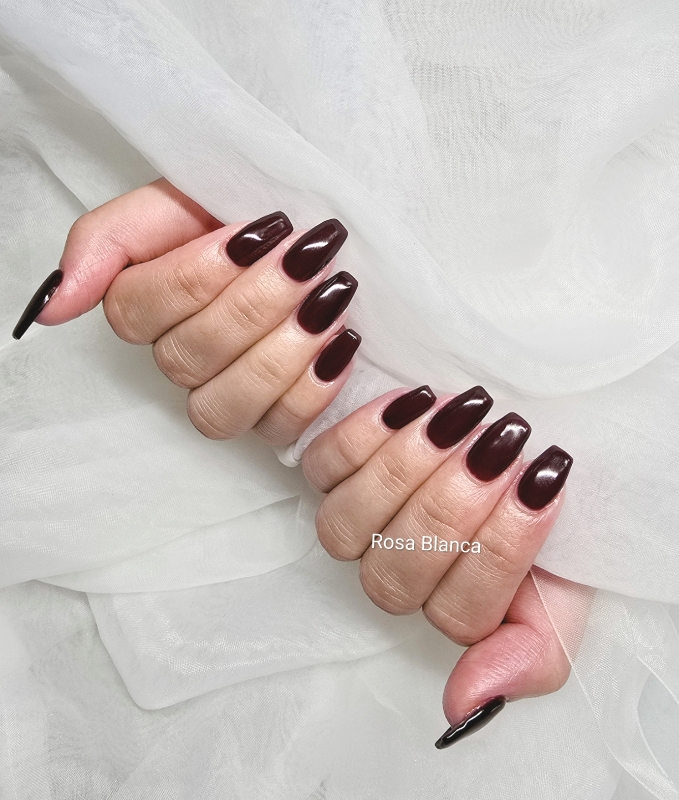 Rosa_Blanca