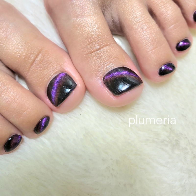 plumeria