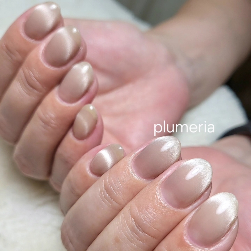 plumeria