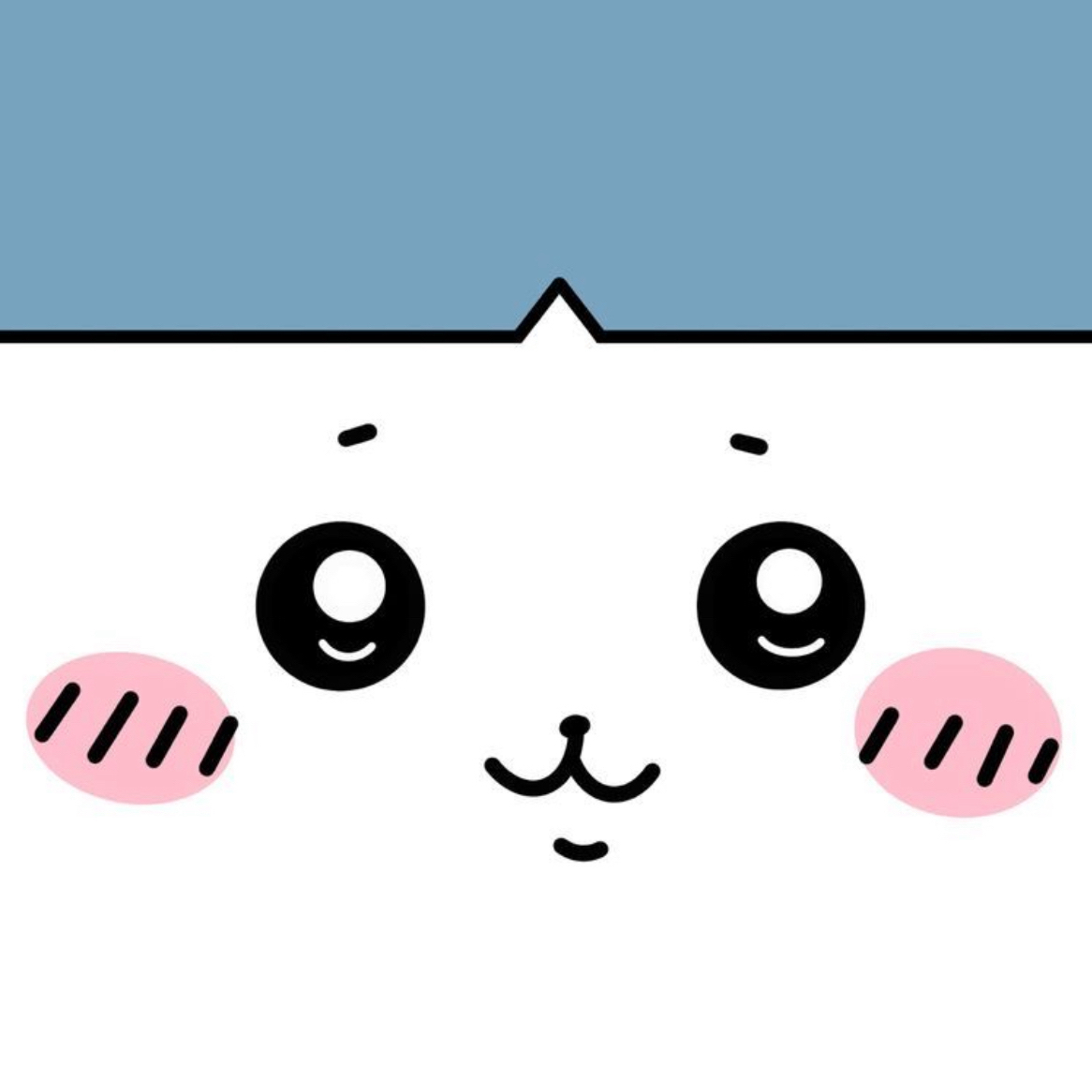 nnsi2