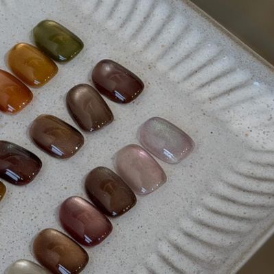 《初回オフ無料》マグネットネイル（色調合◎） ¥6900