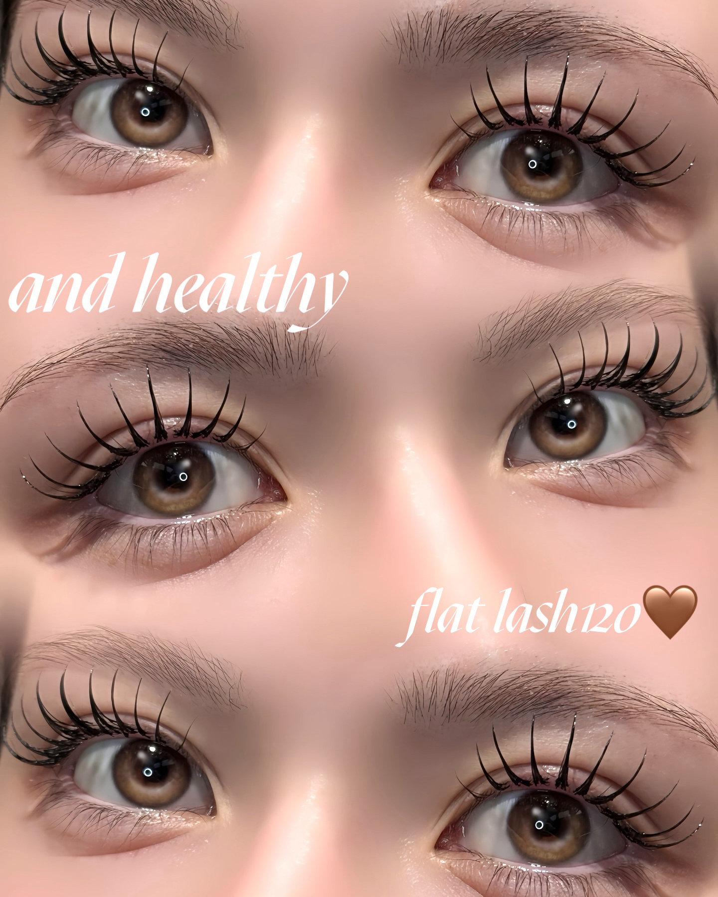 eyelash_mochan